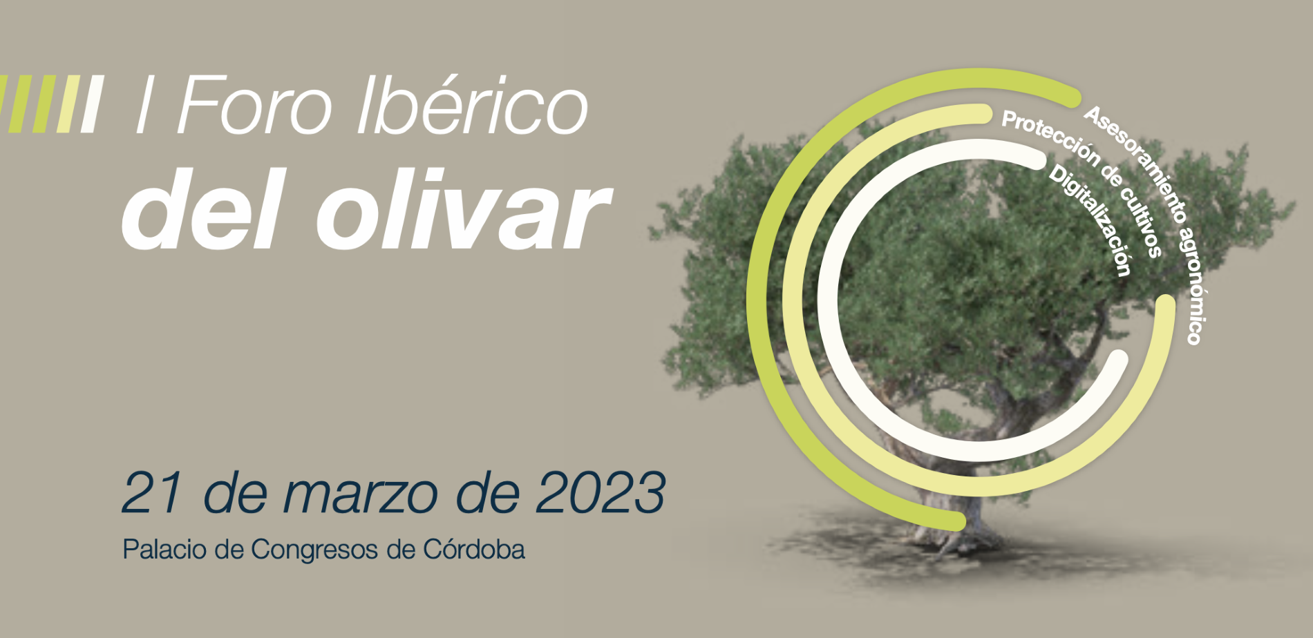 Bayer I Foro Ibrico del Olivar